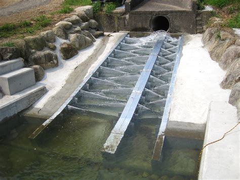 fish ladder|Fish Ladder .